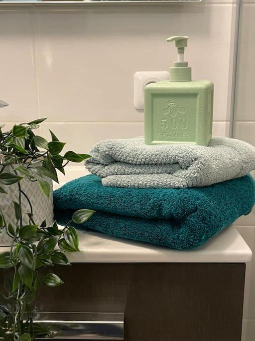Appartement Familial 8 Personnes Proche De Disney Et Paris Chessy  Eksteriør billede